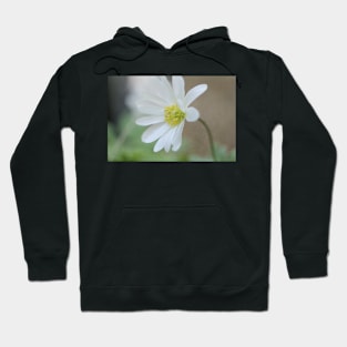 Textured Windflower Hoodie